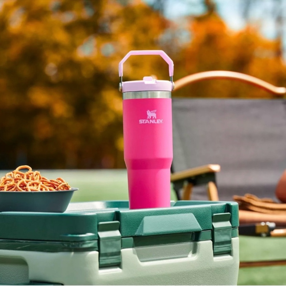 🎉LAST CHANCE🎉Stanley Iceflow Flip Straw 30oz Tumbler Camelia - Picture 9 of 9